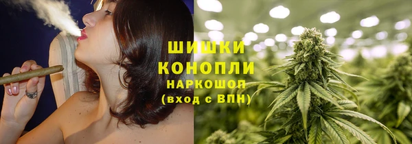 крисы Абдулино