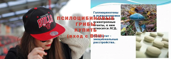 крисы Абдулино