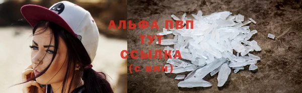 спиды Покачи