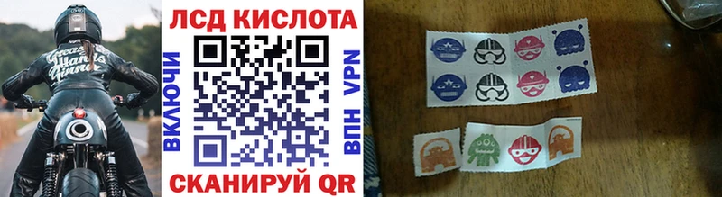 закладки  Александровск  Наркотические марки 1500мкг 